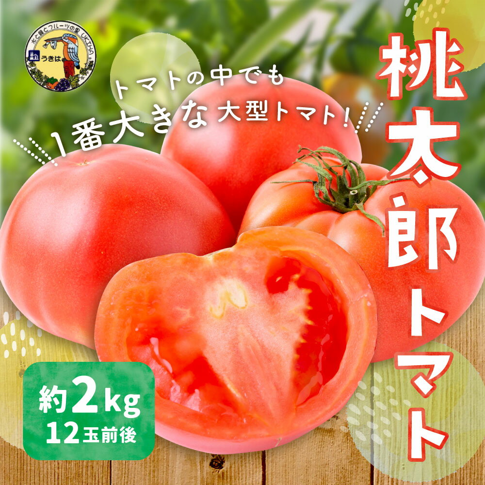 【ふるさと納税】 道の駅うきは 桃太郎トマト 12玉前後 (約2kg) 【2025年11月上旬から2026年5月上旬 出荷予定】 トマト とまと ももたろうトマト 大玉トマト 野菜 ベジタブル 新鮮 フレッシュ お取り寄せ 福岡県 うきは市
