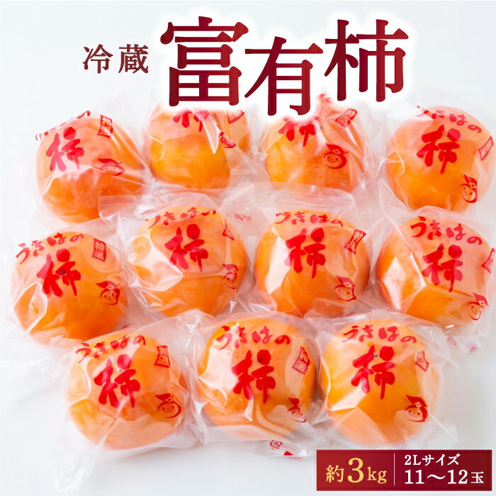 【ふるさと納税】 矢野ファーム 冷蔵富有柿 (2Lサイズ) 11～12玉 (約3kg) 2025年12月中旬から2026年1月10日 出荷予定 柿 かき カキ フルーツ 果実 果物 常温 送料無料 福岡県 うきは市