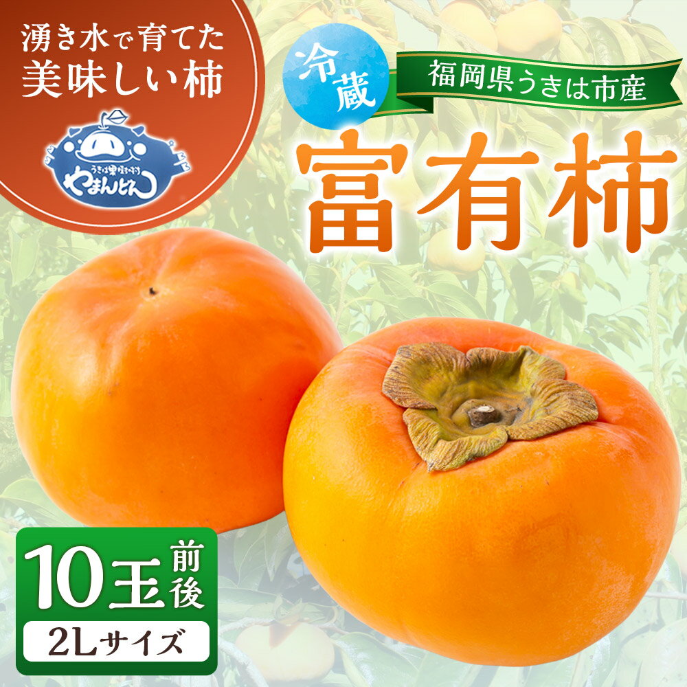 【ふるさと納税】やまんどん 冷蔵富有柿 2Lサイズ 10玉前後 2025年12月中旬から12月下旬 出荷予定 柿 カキ 旬 フルーツ 果物 果実 冷蔵 送料無料 福岡県 うきは市