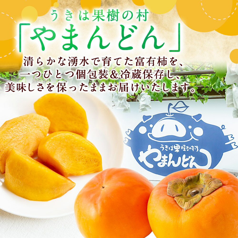 【ふるさと納税】やまんどん 冷蔵富有柿 2Lサイズ 10玉前後 2025年12月中旬から12月下旬 出荷予定 柿 カキ 旬 フルーツ 果物 果実 冷蔵 送料無料 福岡県 うきは市