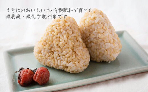 【ふるさと納税】白石（米）農園 ひのひかり 玄米3kg