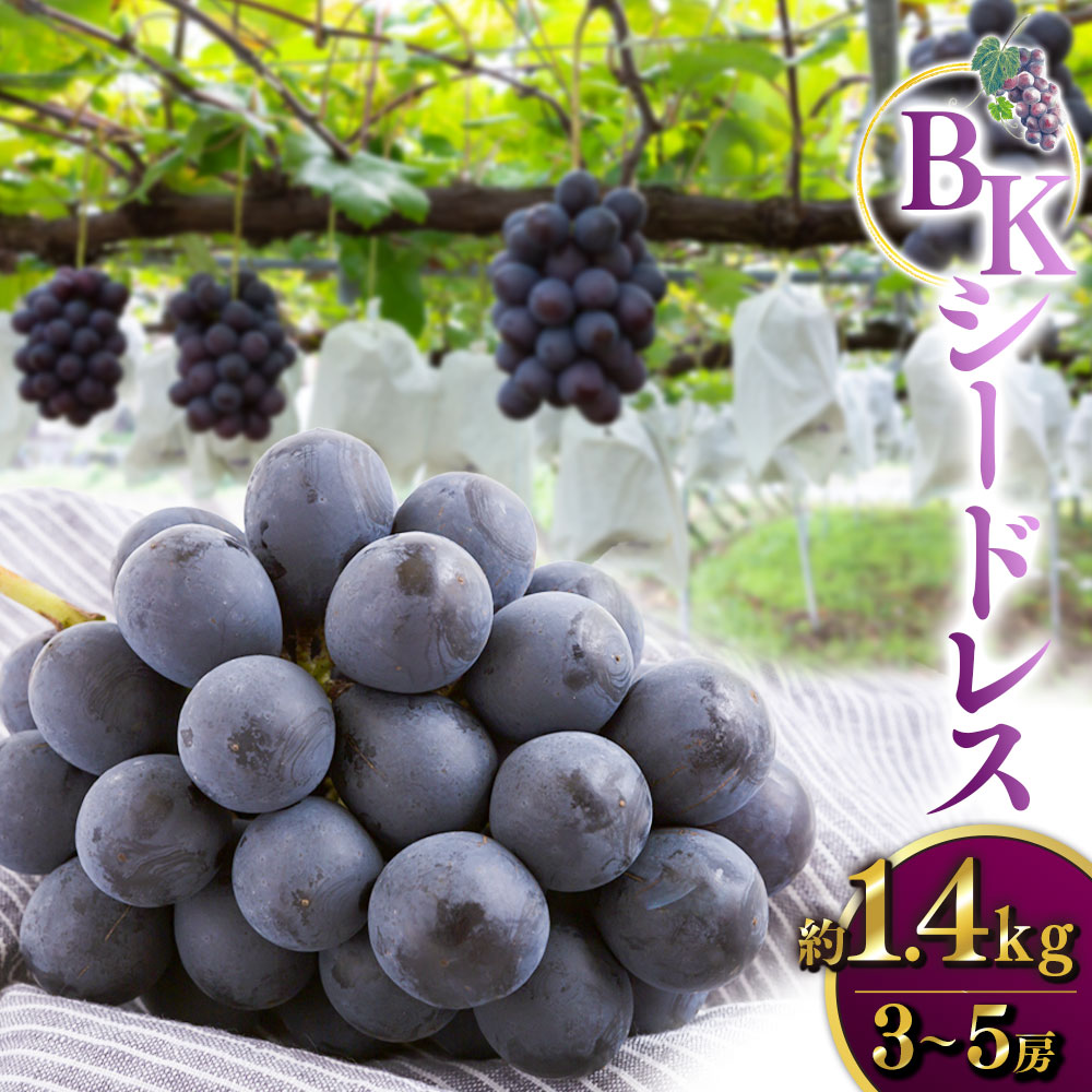 ڤդ뤵Ǽǡۡͽʿ͵ BKɥ쥹 3˼5˼ (1.4kg) 2025ǯ9ܤ9 вͽ ̵ ...
