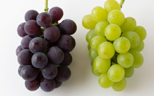 秦果樹園 巨峰・翠峰 詰め合わせ 約3kg (巨峰 3から5房・翠峰 2房) [2026年8月下旬〜9月上旬より順次発送予定] ブドウ ぶどう 葡萄 種無し 種なし フルーツ 果実 果物 冷蔵 送料無料 福岡県 うきは市
