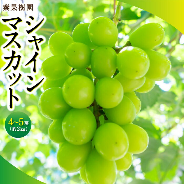 ڤդ뤵Ǽǡۡͽۿ̼ 㥤ޥå 4˼5˼ (2kg) 2025ǯ8ܤ9 вͽ ޥå ...