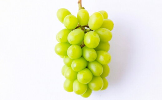 【ふるさと納税】【先行予約】秦果樹園 シャインマスカット 4～5房 （約2kg） 【2026年8月下旬～9月上旬より順次発送予定】 マスカット ぶどう ブドウ 葡萄 フルーツ 果物 果実 冷蔵 送料無料 福岡県 うきは市