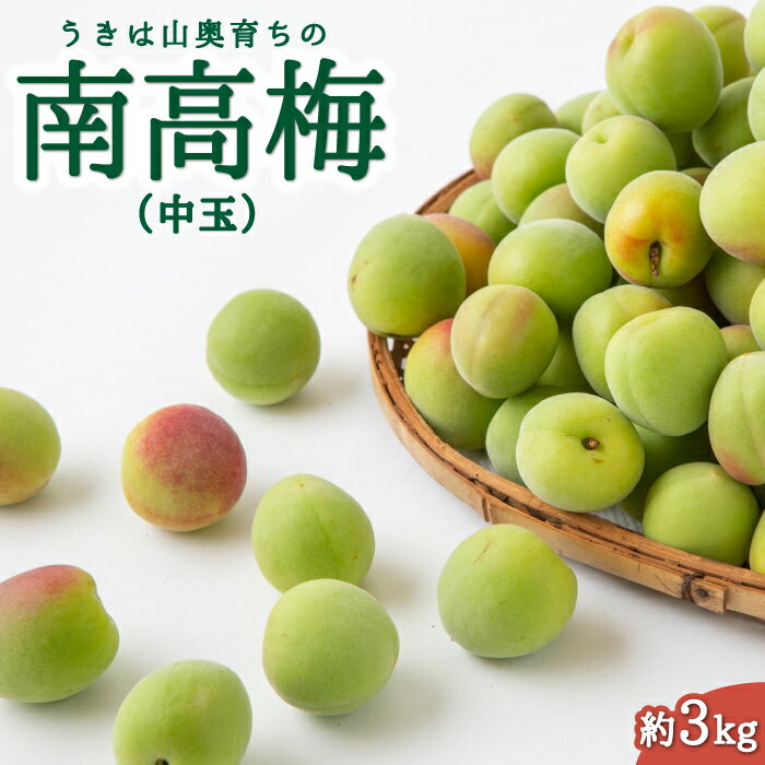 鈴木農園 うきは山奥育ちの南高梅 (中玉) 約3kg [2026年6月上旬より順次発送予定] 梅 うめ ウメ 果実 梅干し 梅干 梅酒 梅シロップ 梅ジャム 冷蔵 送料無料 福岡県 うきは市 冷蔵