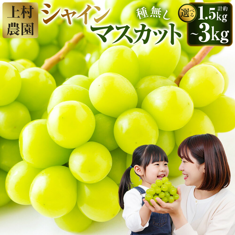 [選べる容量][先行予約]上村農園 (ハウス)シャインマスカット (2〜3房 (約1.2kg) / 4〜6房 (約2kg) / 5〜8房 (約3kg) ) [2026年7月下旬〜8月上旬より順次発送予定] ぶどう 葡萄 マスカット フルーツ 果物 冷蔵 送料無料 福岡県 うきは市