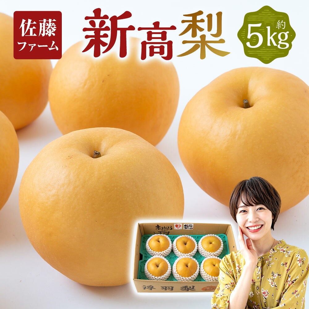 [先行予約]佐藤ファーム 新高梨 5玉〜8玉 (約5kg) [2026年9月下旬〜10月上旬より順次発送予定] 梨 なし ナシ フルーツ 新高 にいたか 大玉 果実 果物 常温 送料無料 福岡県 うきは市