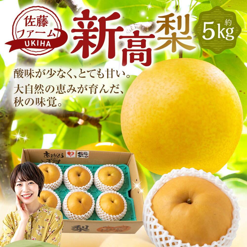 【ふるさと納税】【先行予約】佐藤ファーム 新高梨 5玉～8玉 （約5kg） 【2026年9月下旬～10月上旬より順次発送予定】 梨 なし ナシ フルーツ 新高 にいたか 大玉 果実 果物 常温 送料無料 福岡県 うきは市