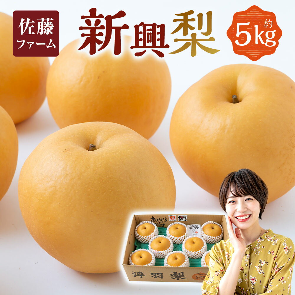 [先行予約]佐藤ファーム 新興梨 8玉〜12玉 (約5kg) [2026年10月下旬より順次発送予定] 梨 なし ナシ 新興 しんこう フルーツ 果実 果物 常温 送料無料 福岡県 うきは市