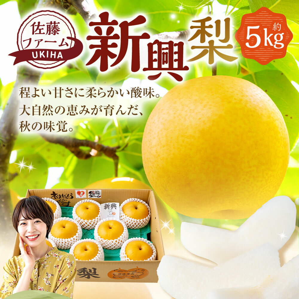 【ふるさと納税】【先行予約】佐藤ファーム 新興梨 8玉～12玉 （約5kg） 【2026年10月下旬より順次発送予定】 梨 なし ナシ 新興 しんこう フルーツ 果実 果物 常温 送料無料 福岡県 うきは市