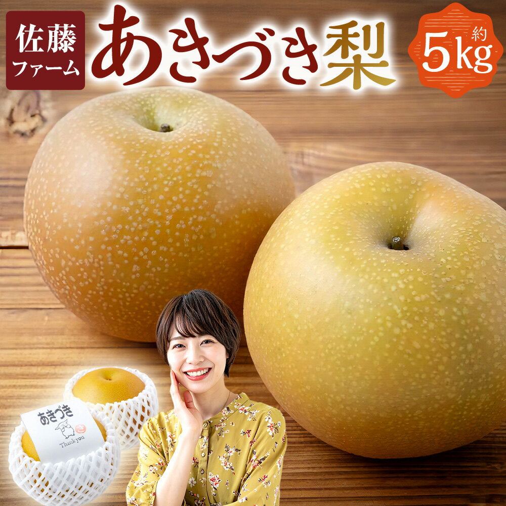 [先行予約]佐藤ファーム あきづき梨 8玉〜13玉 (約5kg) [2026年9月上旬より順次発送予定] 梨 なし ナシ 秋月 あきづき フルーツ 果実 果物 常温 送料無料 福岡県 うきは市