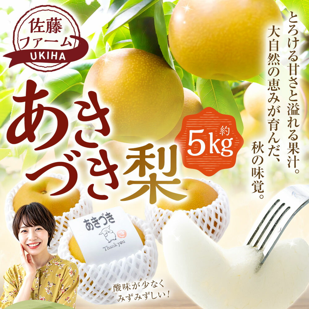 【ふるさと納税】【先行予約】佐藤ファーム あきづき梨 8玉～13玉 （約5kg） 【2026年9月上旬より順次発送予定】 梨 なし ナシ 秋月 あきづき フルーツ 果実 果物 常温 送料無料 福岡県 うきは市