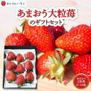【ふるさと納税】 よかもんいちご あまおう大粒苺のギフトセットA 【2025年12月から2026年4月出荷予定】 フルーツ 果物 果実 送料無料 福岡県 うきは市
