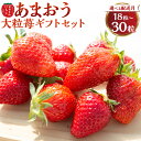【ふるさと納税】 よかもんいちご あまおう大粒苺のギフトセットB 【2025年12月から2026年4月出荷予定】 フルーツ 果物 果実 送料無料 福岡県 うきは市
