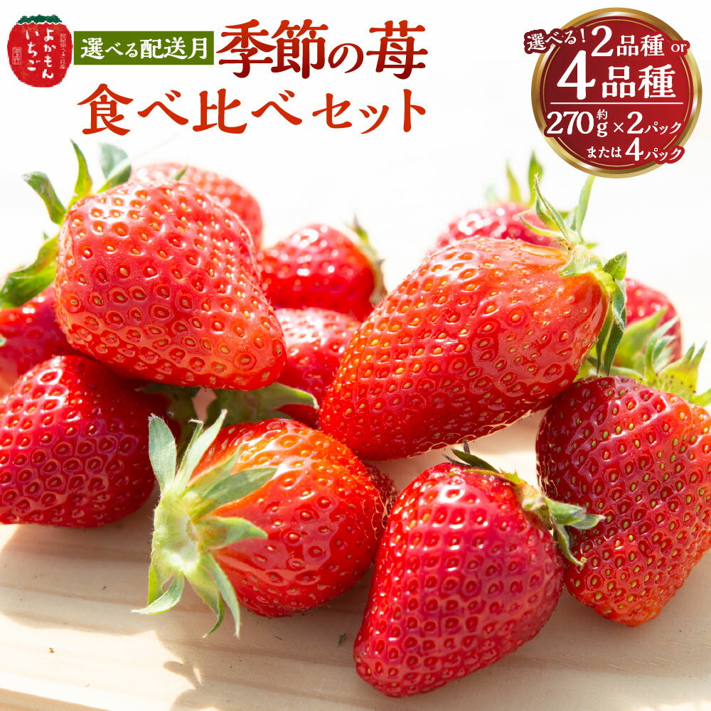 [選べる発送月] よかもんいちご 4品種食べ比べセット 2025年12月から2026年4月 出荷予定・[5回定期便:2025年12月から2026年4月出荷予定] 毎月 出荷予定 送料無料 福岡県 うきは市