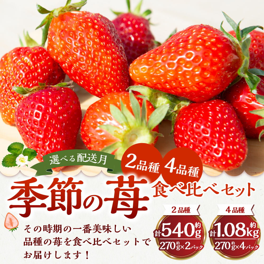 【ふるさと納税】 ＜選べる発送月・品種＞ よかもんいちご 2品種食べ比べセット 【2026年1月から2026年4月出荷予定】 ・【5回定期便】 毎月 出荷予定 送料無料 福岡県 うきは市