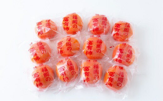 【ふるさと納税】【先行予約】江藤農園 冷蔵富有柿 10玉から12玉 (約3kg) 2025年12月中旬から2026年1月中旬 出荷予定 柿 カキ 旬 フルーツ 果物 果実 冷蔵 送料無料 福岡県 うきは市