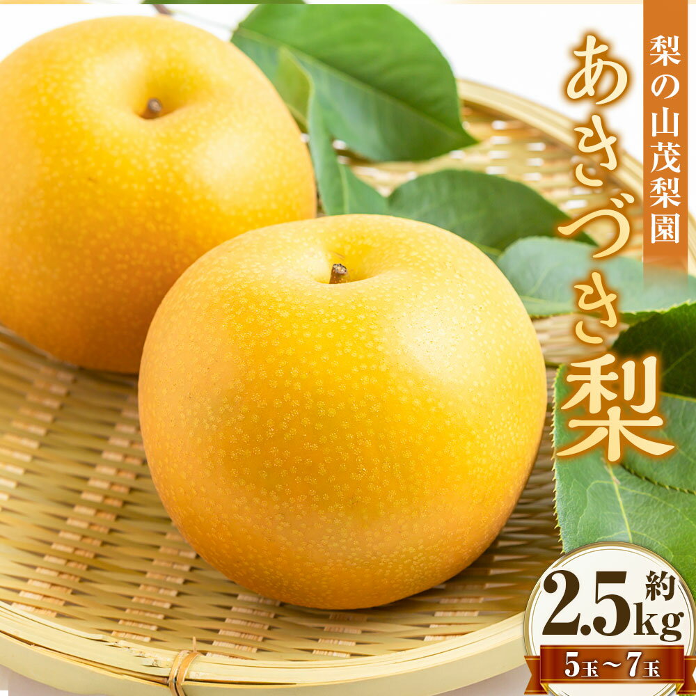 [先行予約] 梨の山茂梨園 あきづき梨 5玉〜7玉(約2.5kg) 赤梨 梨 なし ナシ フルーツ くだもの 果物 果実 福岡県産 国産 九州 福岡県 うきは市 送料無料 [2026年9月上旬〜下旬発送予定]