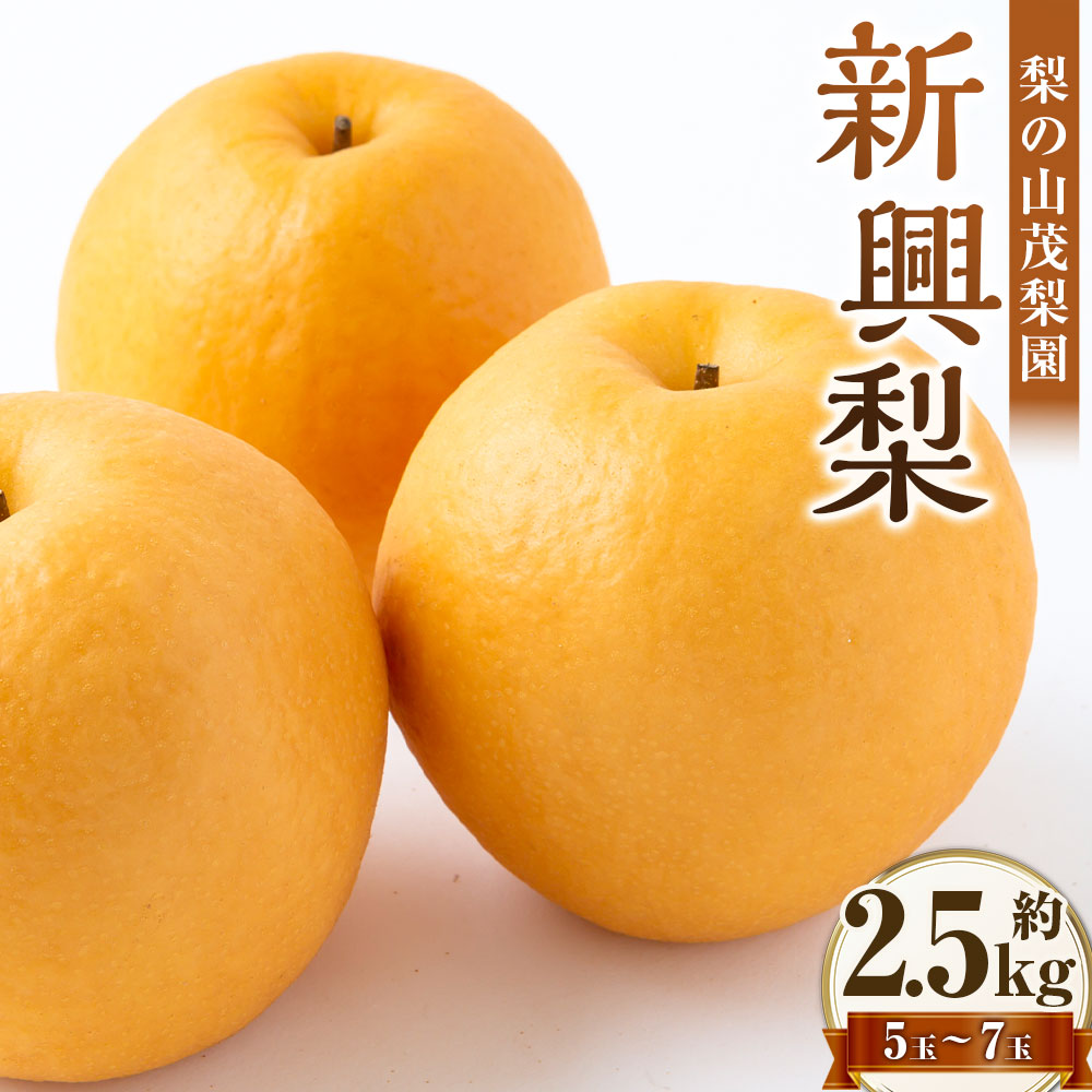 [先行予約] 梨の山茂梨園 新興梨 5玉〜7玉(約2.5kg) 梨 なし ナシ フルーツ くだもの 果物 果実 福岡県産 国産 九州 福岡県 うきは市 送料無料 [2026年10月上旬〜11月上旬発送予定]