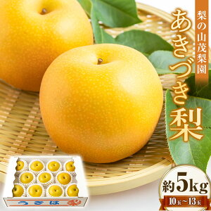 【ふるさと納税】 【先行予約】梨の山茂梨園 あきづき梨 10玉から13玉 (約5kg) 2025年9月上旬から9月中旬 出荷予定 梨 なし ナシ フルーツ 果実 果物 常温 送料無料 福岡県 うきは市