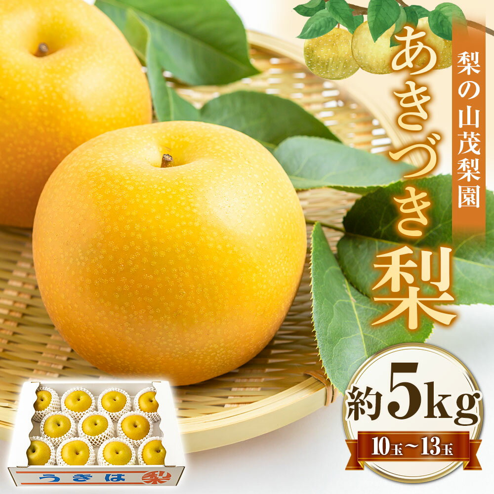 【ふるさと納税】 【先行予約】梨の山茂梨園 あきづき梨 10玉から13玉 （約5kg） 【2026年9月上旬～9月上旬より順次発送予定】 梨 なし ナシ 秋月 あきづき フルーツ 果実 果物 常温 送料無料 福岡県 うきは市