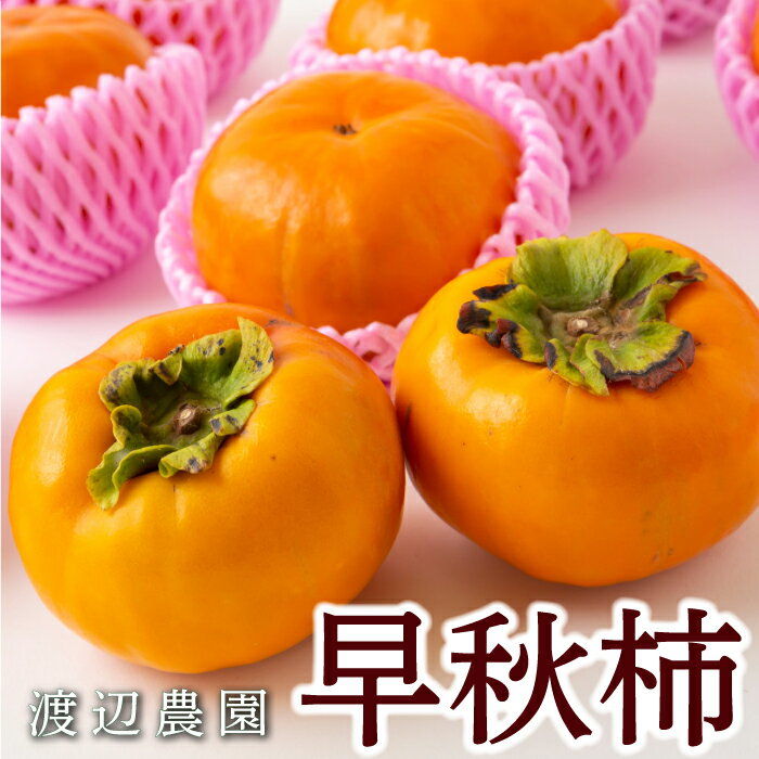 [先行予約]渡辺農園 早秋柿 6玉前後・9玉前後・12玉から15玉 2025年9月下旬から10月上旬 出荷予定 柿 かき カキ フルーツ 果実 果物 常温 送料無料 福岡県 うきは市