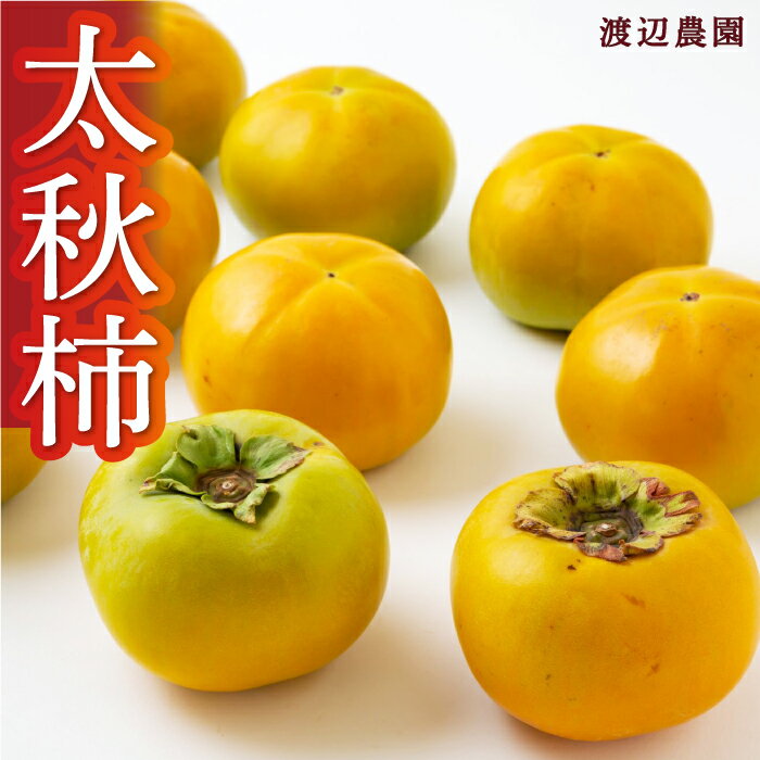 [先行予約]渡辺農園 太秋柿 6玉前後・9玉前後・12玉から15玉 2025年10月中旬から10月下旬 出荷予定 柿 かき カキ フルーツ 果実 果物 常温 送料無料 福岡県 うきは市