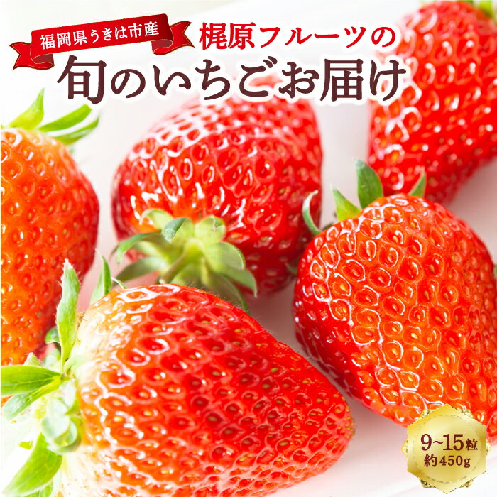 [選べる配送月] 梶原フルーツの旬のいちごお届け 約450g (9粒から15粒) あまおう かおり野 紅ほっぺ 恋みのり 章姫 スターナイト ほしうらら はるひ すず いちご イチゴ 苺 フルーツ 果物 果実 福岡県 うきは市 送料無料 [2026年1月〜3月 発送予定]