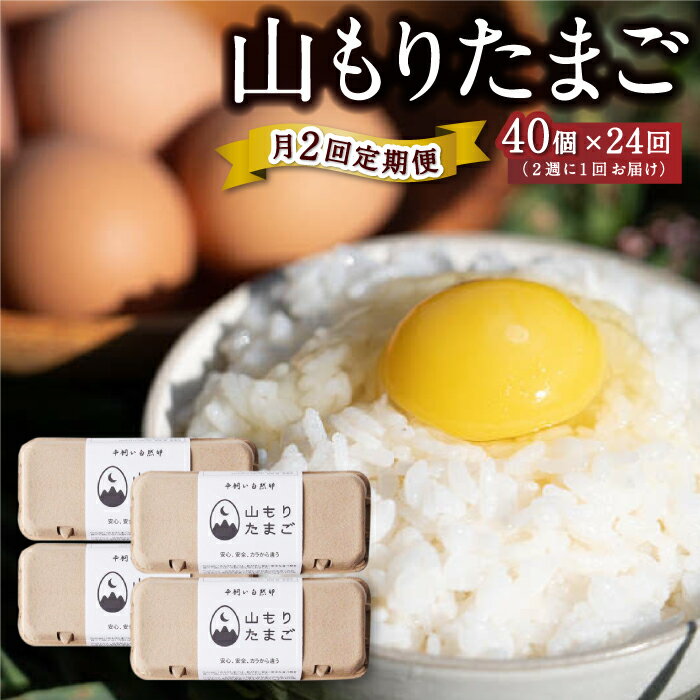 18位! 口コミ数「0件」評価「0」【月2回定期便】山もりたまご 40個 月2回 (2週に1回) 12ヶ月