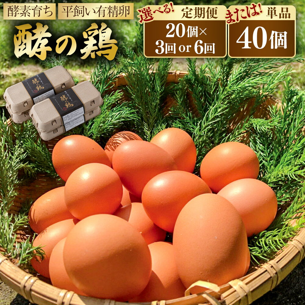 【ふるさと納税】 iTo farm 酵の鶏 40個 鶏の卵 たまご 卵 玉子 タマゴ 鶏卵 オムレツ 卵かけご飯 朝食..