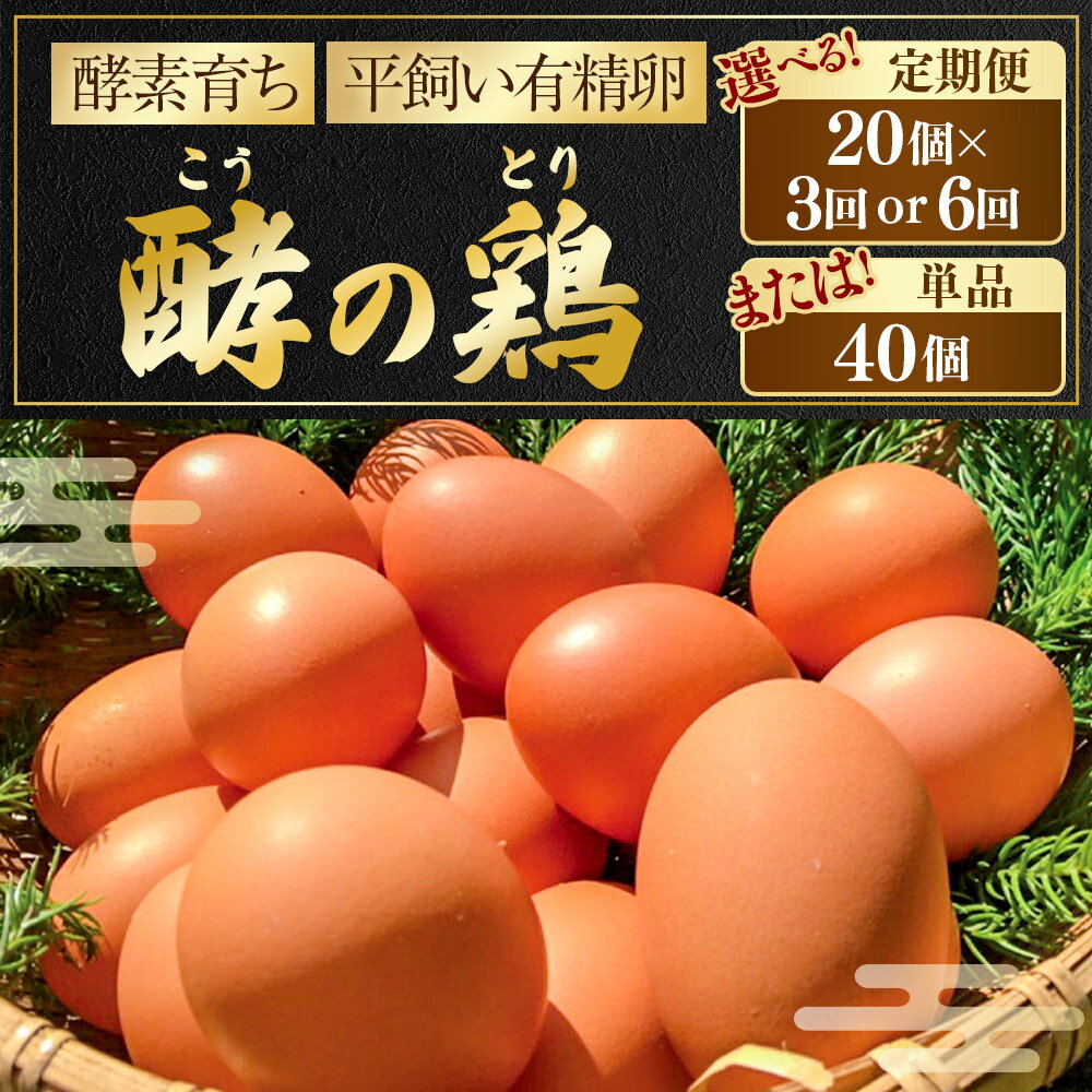 【ふるさと納税】 iTo farm 酵の鶏 40個 鶏の卵 たまご 卵 玉子 タマゴ 鶏卵 オムレツ 卵かけご飯 朝食 料理 人気 たまご焼き 送料無料 福岡県 うきは市