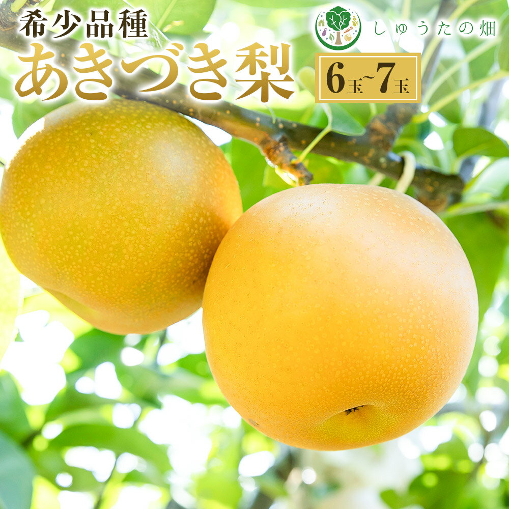 [先行予約]しゅうたの畑 希少品種 あきづき梨 6玉から7玉 [2026年9月上旬より順次発送予定] 梨 なし ナシ あきづき 果物 くだもの フルーツ 果実 ジューシー 産直農園 お取り寄せ 送料無料 福岡県 うきは市 常温