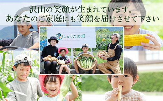 【ふるさと納税】 【年5回定期便】しゅうたの畑 うきはの自然で育った野菜・果物ミニセット（新鮮野菜・桃・梨・柿）