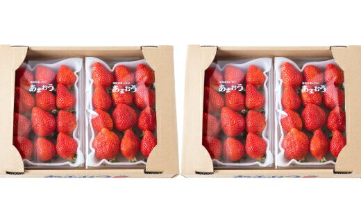 【ふるさと納税】 千年いちご あまおうイチゴ (300g×4パック) あまおう いちご イチゴ 苺 フルーツ 果物 冷蔵 送料無料 福岡県 うきは市 【2025年12月下旬から2026年3月お届け】