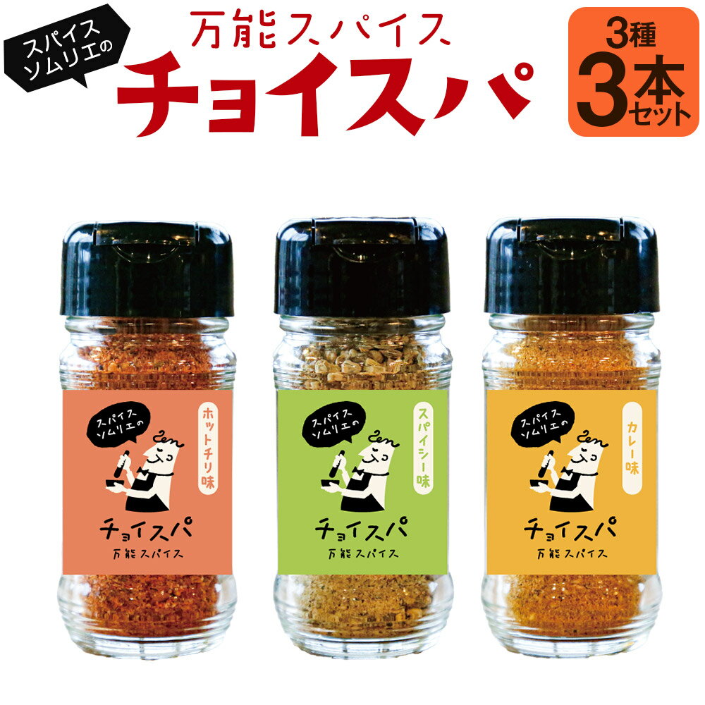 スープカレー専門店 禅 チョイスパ 3種の詰め合わせセット (スパイシー味・カレー味・ホットチリ味) 各40g×3本 セット スパイス オリジナルスパイス 万能スパイス パスタ サラダ 魚 調味料 万能調味料 送料無料 福岡県 うきは市