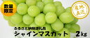 【ふるさと納税】春光園シャインマスカット2kg...