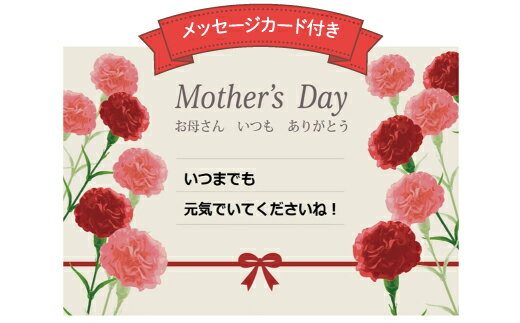 【ふるさと納税】☆母の日ギフト☆ 酢造発酵場スーの果実酢5種セット 2024年5月10日～5月12日お届け