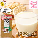 【ふるさと納税】【6ヶ月連続定期便】豆乳 国産 ソイラテコーヒー 1000ml 6本 6回（6ヶ月） 計36本 紙パック 豆乳 コーヒー 大豆飲料 ..