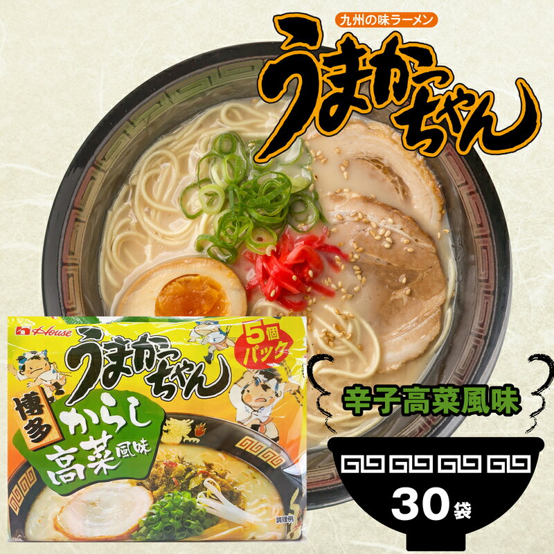 【ふるさと納税】うまかっちゃん 博多からし高菜風味 5袋×6パック とんこつラーメン 拉麺 麺 豚骨 とんこつ 豚骨スープ ご当地ラーメン 即席ラーメン 常備食 保存食 九州 送料無料 M244P-2