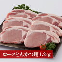 【ふるさと納税】豚肉 ポーク ロース とんかつ 野田精肉店厳選豚肉 <ロースとんかつ用1.2kg> BBQ 福岡県 宮若市 送料無料 M76