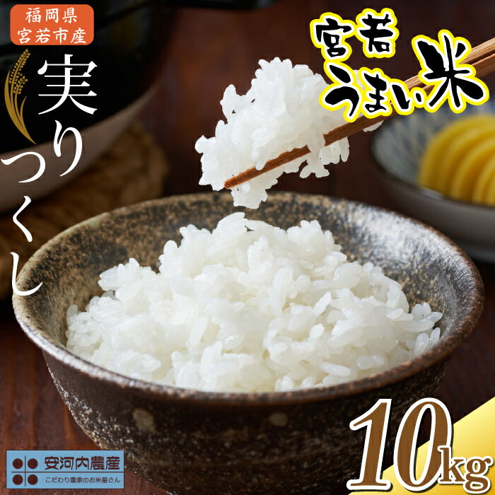 ڤդ뤵Ǽǡ7ǯͽۼ¤Ĥ 10kg (5kg2)10ܤ缡ȯʡܼ㻺 Ұ²ӡ[M...