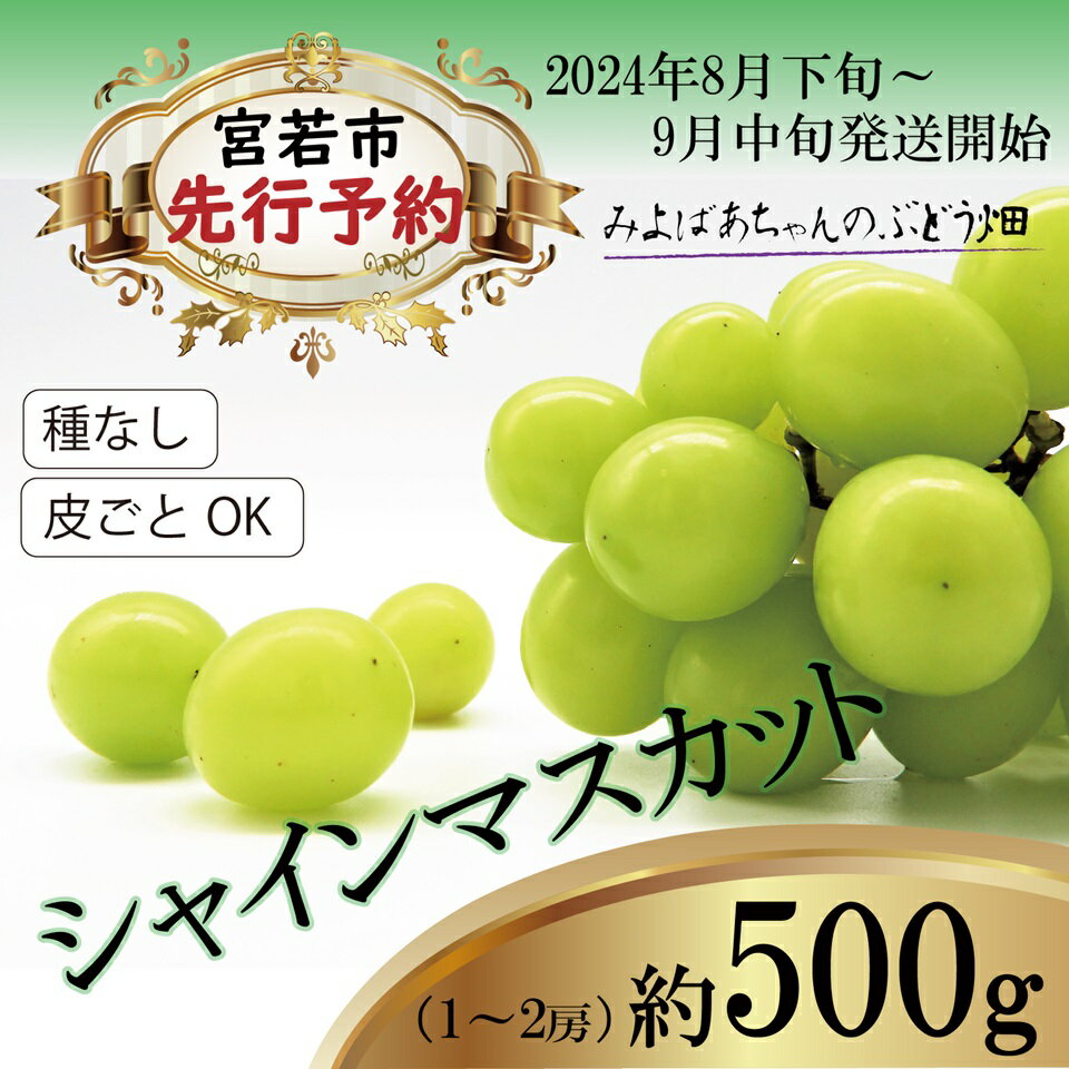 17位! 口コミ数「0件」評価「0」【8月下旬～9月中旬順次発送】みよばあちゃんのぶどう畑直送！【露地栽培のシャインマスカット500グラム】M29