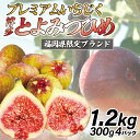 【ふるさと納税】福岡県ブランドいちじく「博多とよみつひめ」300g 4パック M775