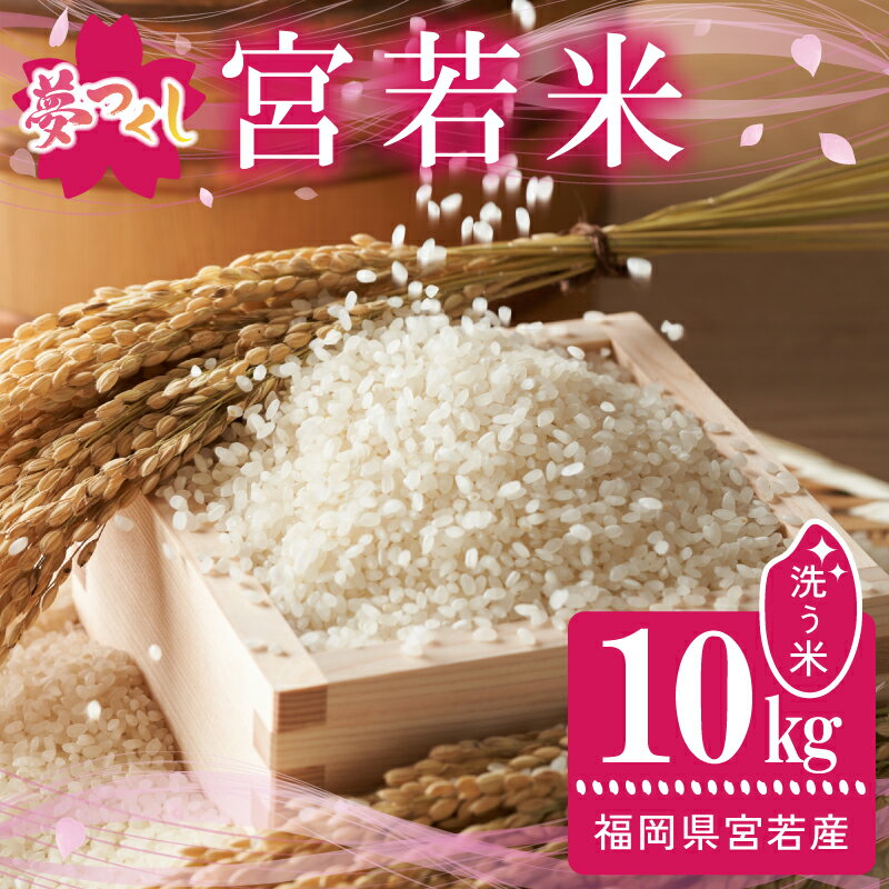 令和7年産 夢つくし 精米 10kg [M895-1] ごはん コメ ご飯 精米 白米 ブランド米