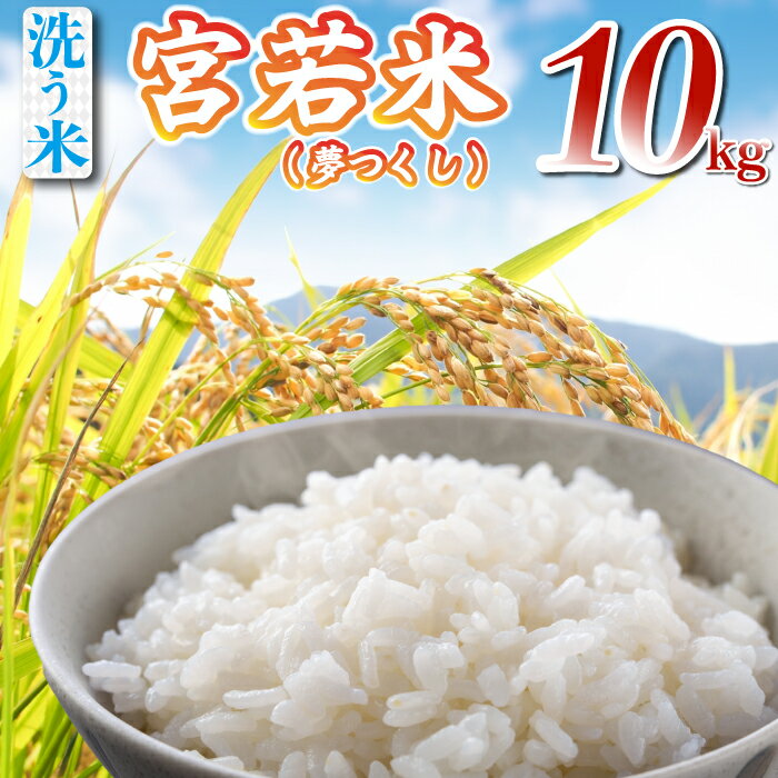令和7年産 夢つくし 精米 10kg [M895-1] ごはん コメ ご飯 精米 白米 ブランド米