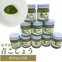 【ふるさと納税】かすがの青こしょう かすがうどん 約400g 約40g×10個 M760 調味料 柚子 胡椒 ゆず こしょう スパイス 薬味 風味