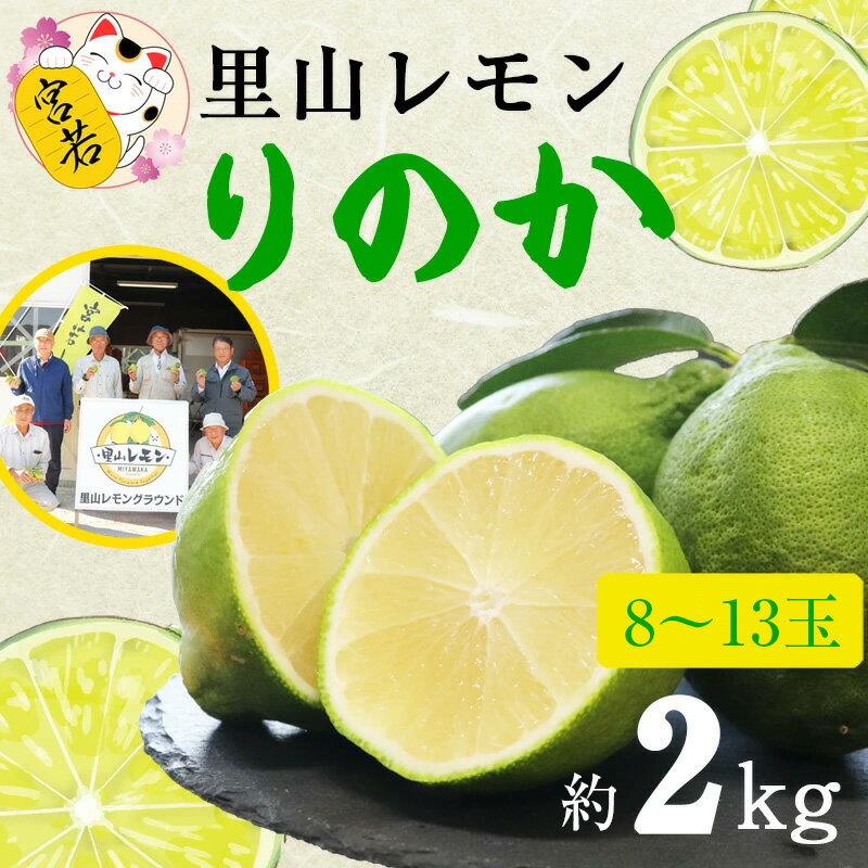【ふるさと納税】レモン りのか 璃の香 約2kg 宮若市 特産品 【里山レモンの会】