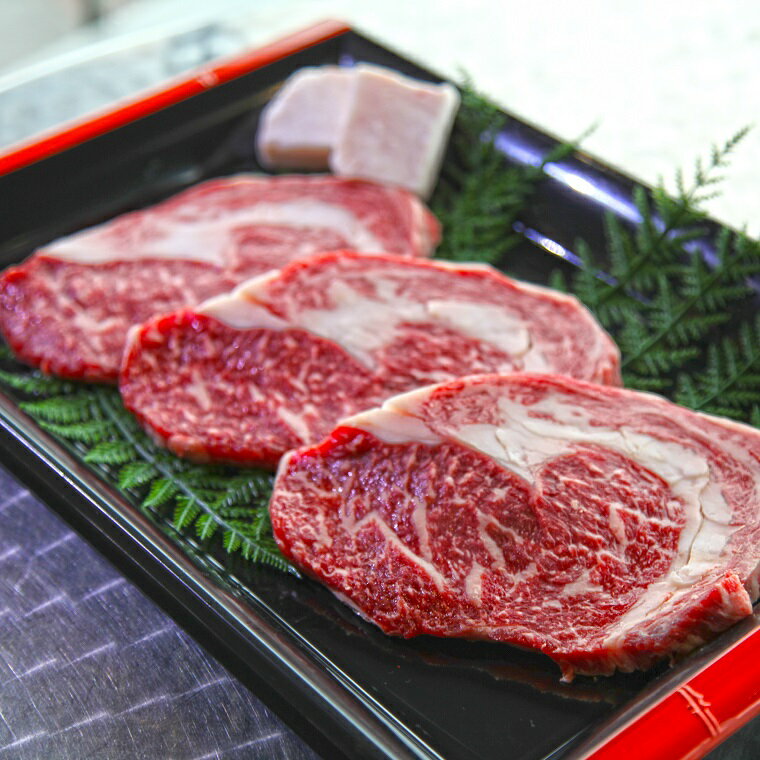 嘉穂牛 リブロース ステーキ 約500g 数量限定 牛肉 福岡県産 九州産 国産 冷蔵 送料無料