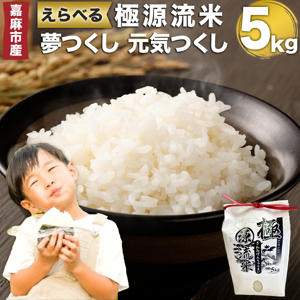 【ふるさと納税】極源流米 5kg お米 白米 令和7年産 精米 単一原料米 上流栽培米 源流米 ブランド米 えらべる 夢つくし 元気つくし 常温 少量生産 福岡...